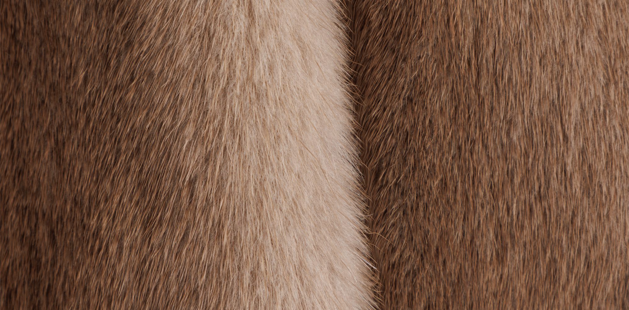 pair-1.jpg